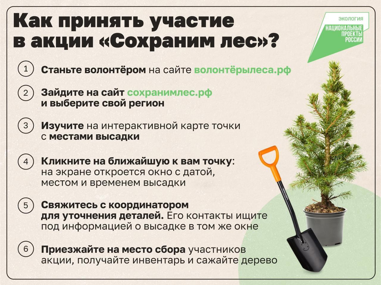 Нацпроект &amp;quot;Сохраним лес&amp;quot;.