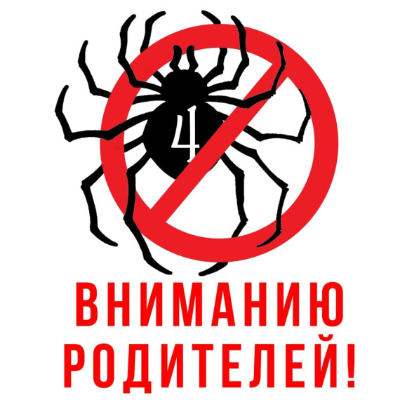«ЧВК Рёдан»: кто они и чем опасны?.